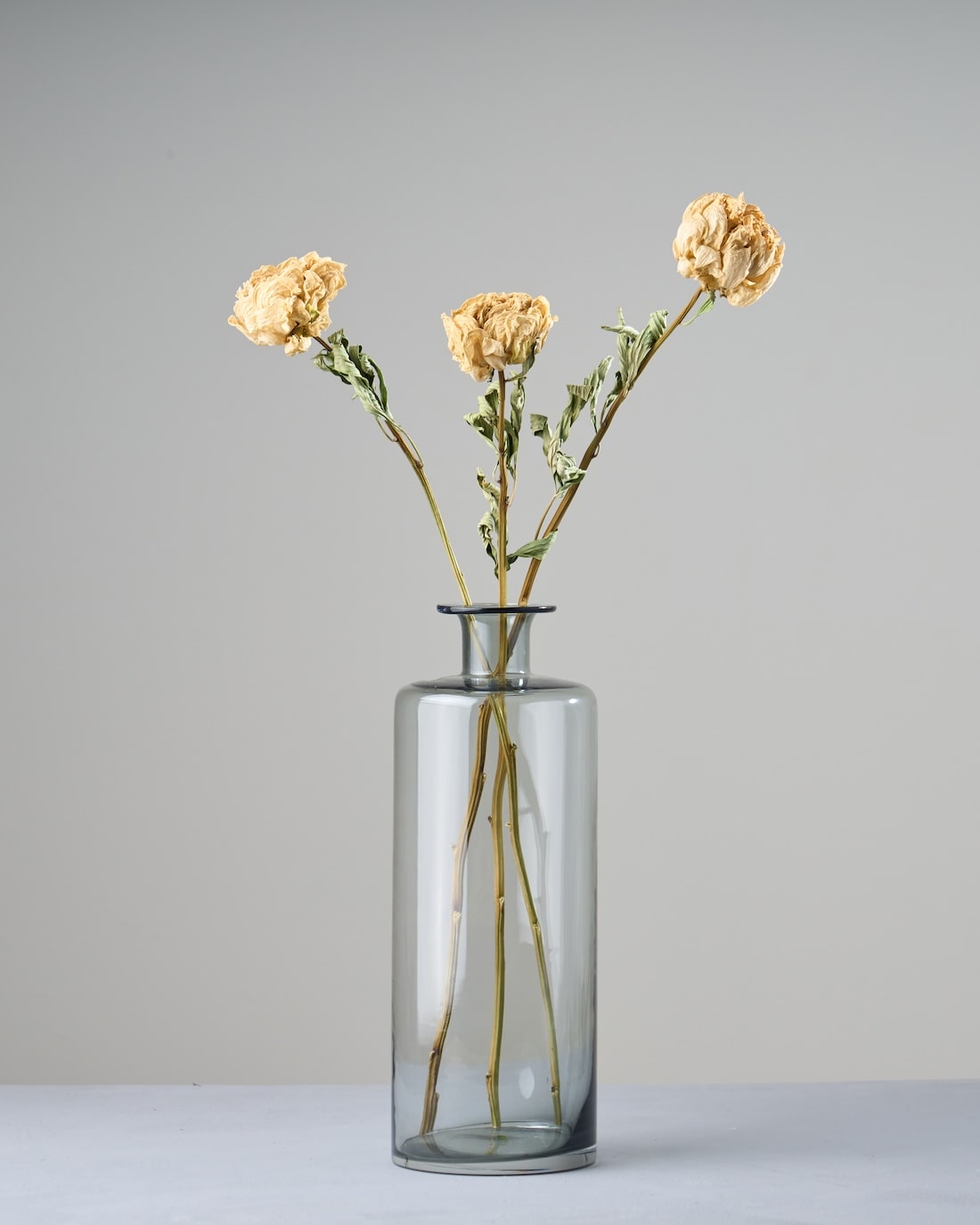 【かなりお得なお買い得品！】芍薬 しゃくやく ドライフラワー 120本 かなりお得なお買い得品！】芍薬 しゃくやく ドライフラワー 120本