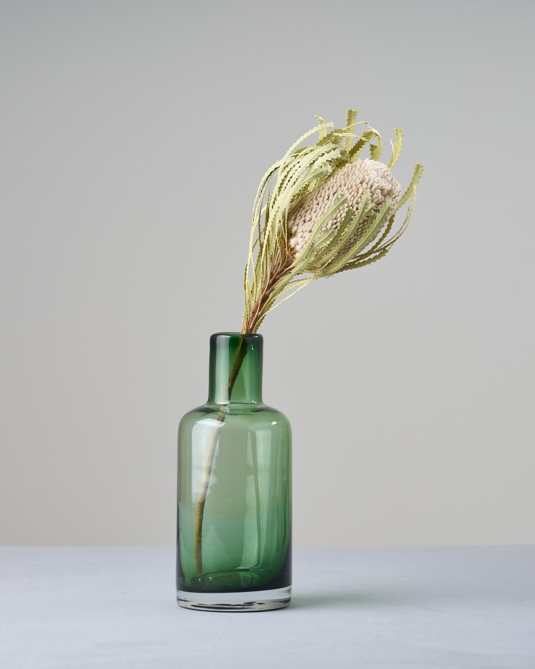 ［ドライフラワー］バンクシア フーケリアーナ