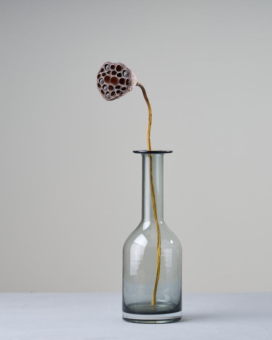 ［ドライフラワー］蓮