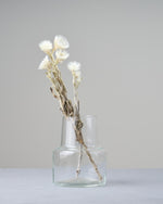 ［ドライフラワー］シルバーデージー