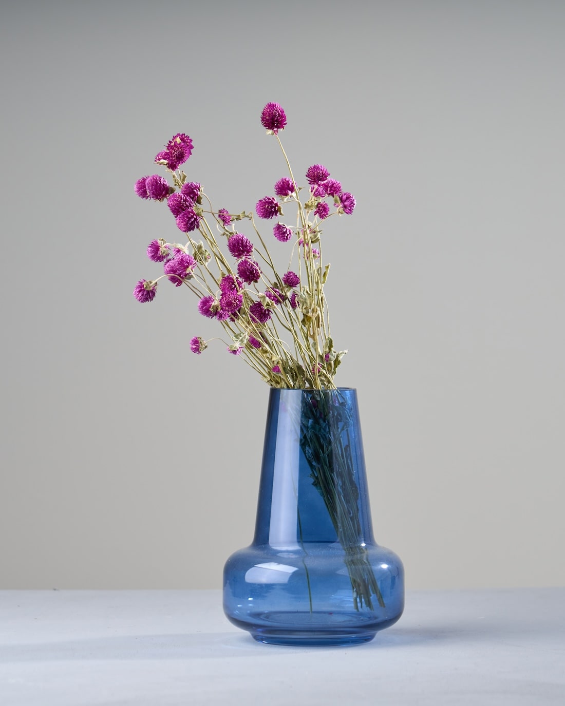 ［ドライフラワー］千日紅