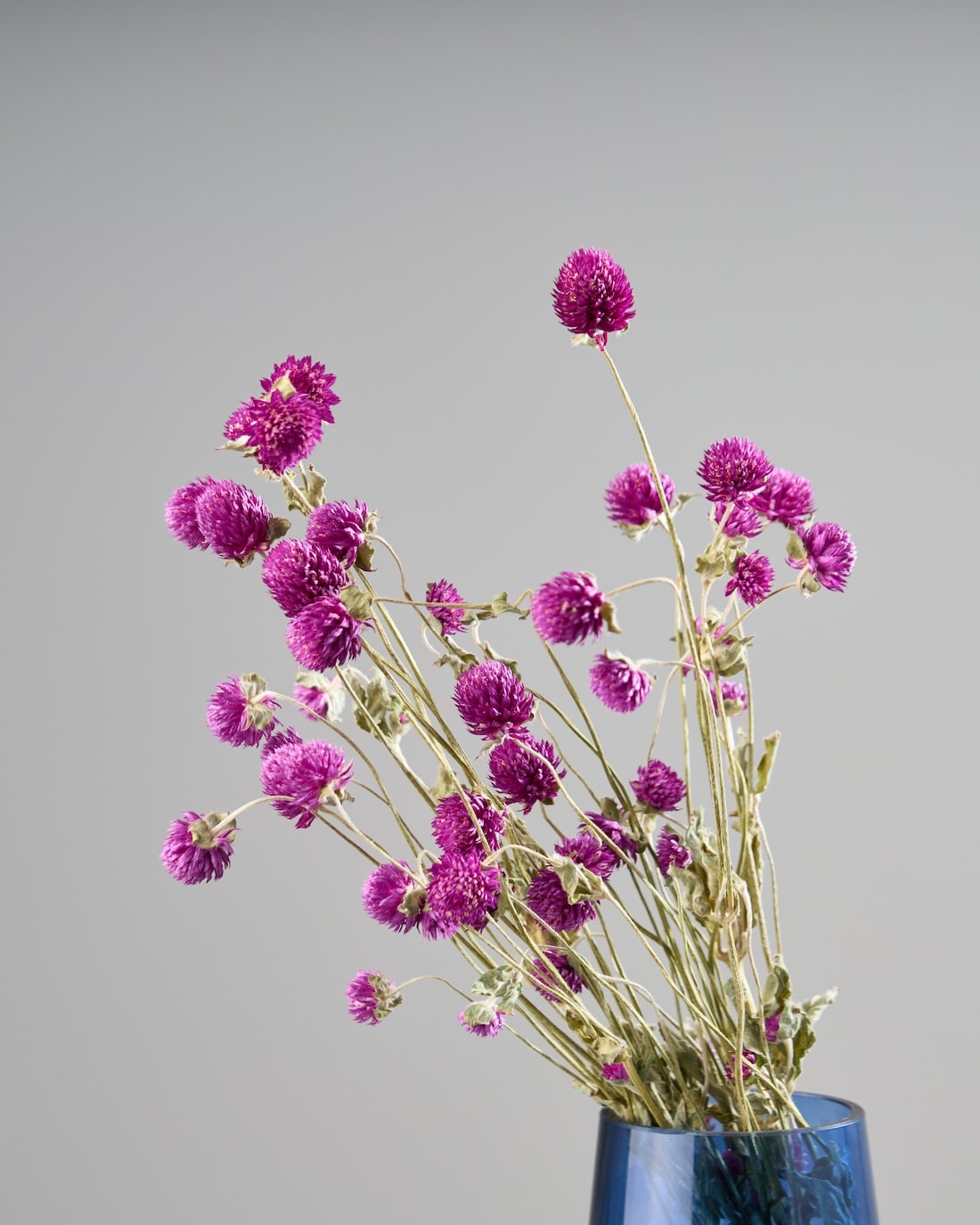 ドライフラワー　3点お纏め fit=scale-down,w=1200