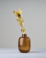 ［ドライフラワー］ドライアンドラ クエキフォリア