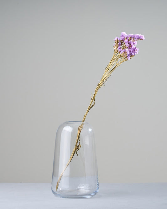 ［ドライフラワー］スターチス シヌアータ