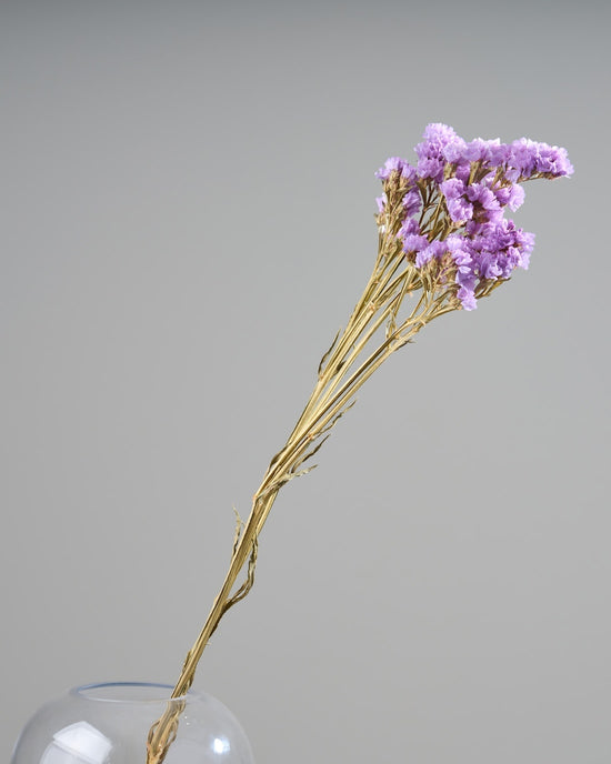 ［ドライフラワー］スターチス シヌアータ