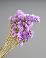 ［ドライフラワー］スターチス シヌアータ