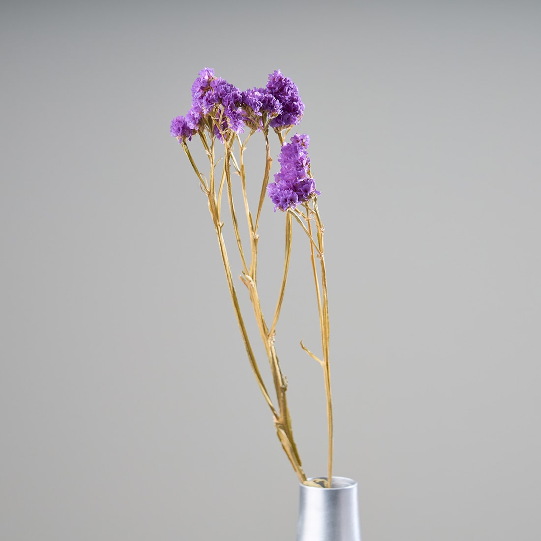 ［ドライフラワー］スターチス シヌアータ