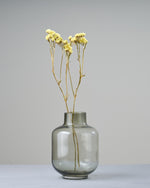 ［ドライフラワー］スターチス シヌアータ