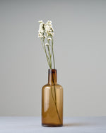 ［ドライフラワー］スターチス シヌアータ