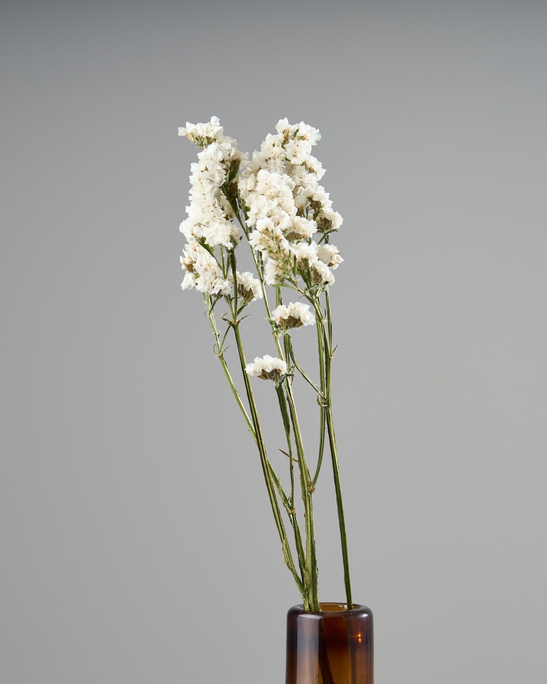 ［ドライフラワー］スターチス シヌアータ