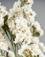 ［ドライフラワー］スターチス シヌアータ