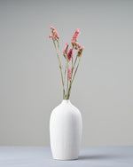 ［ドライフラワー］スターチス シヌアータ