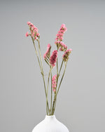 ［ドライフラワー］スターチス シヌアータ