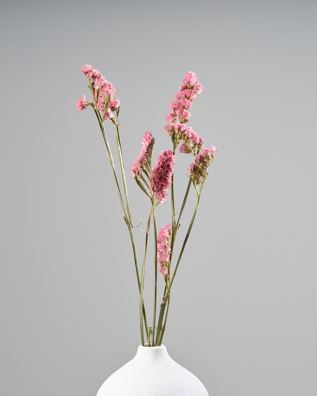 ［ドライフラワー］スターチス シヌアータ