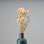 ［ドライフラワー］セルリア