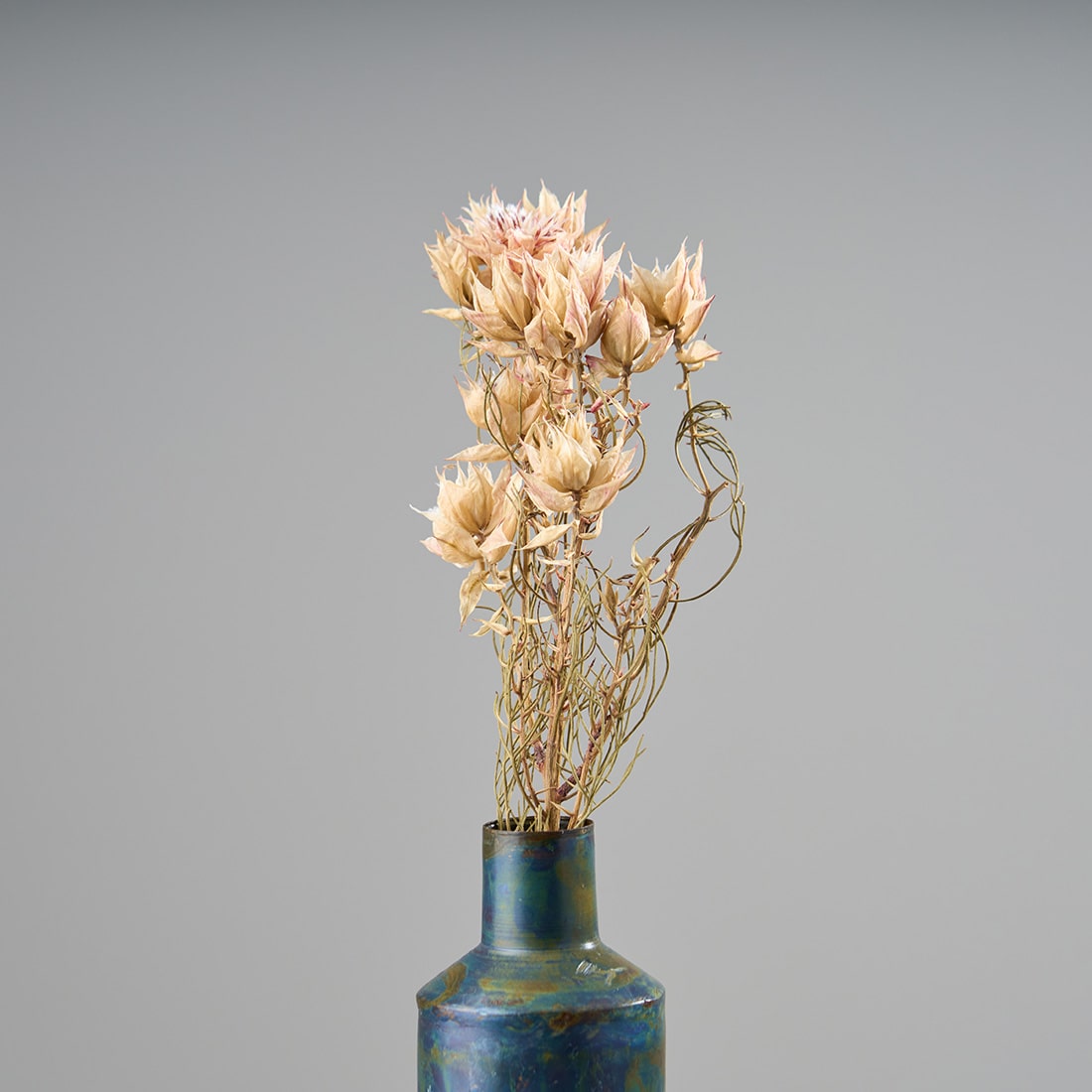 ［ドライフラワー］セルリア