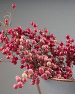 ［ドライフラワー］ペッパーベリー