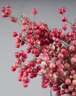 ［ドライフラワー］ペッパーベリー