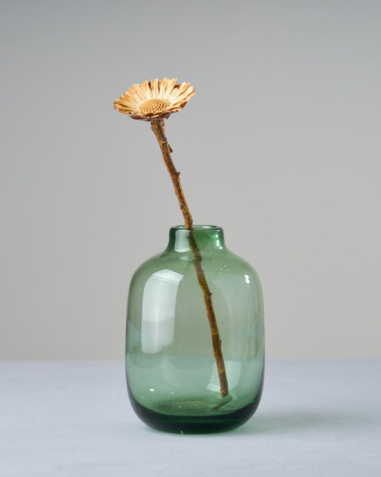 ［ドライフラワー］プロテア コンパクタ