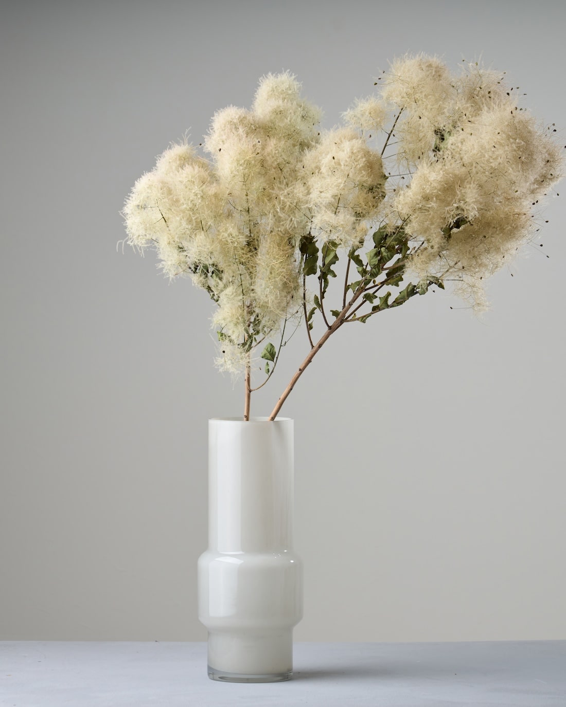 スモークツリー［ドライフラワー］※おひとり様２本まで