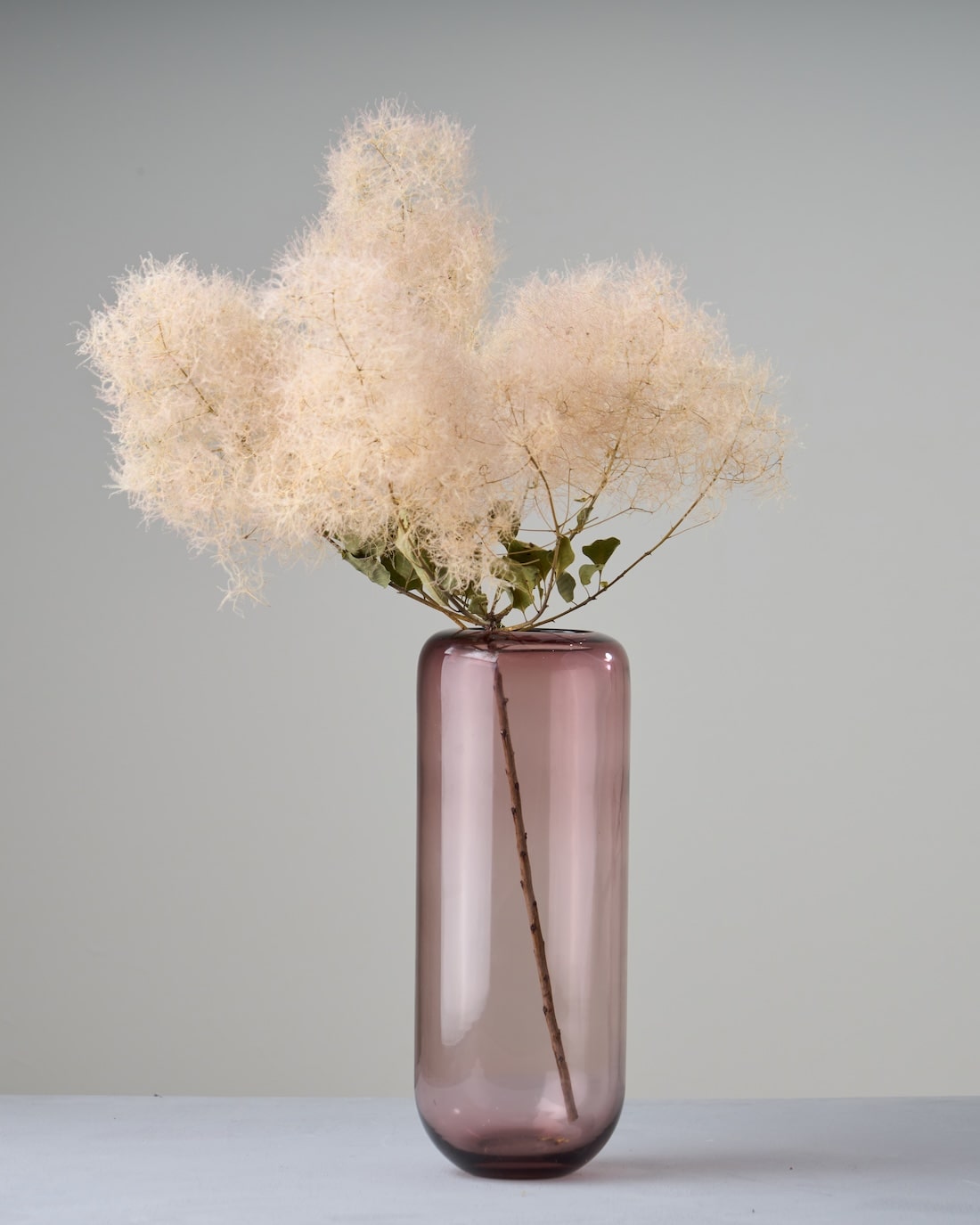 スモークツリー［ドライフラワー］※おひとり様２本まで