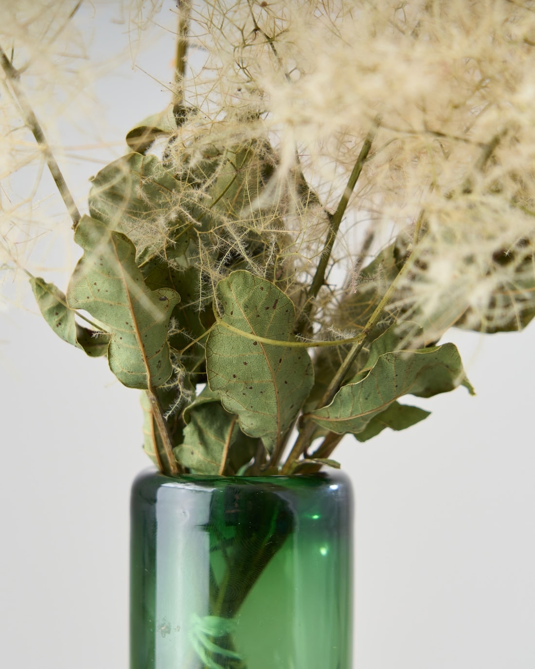 スモークツリー［ドライフラワー］※おひとり様２本まで