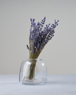 ［ドライフラワー］ラベンダー