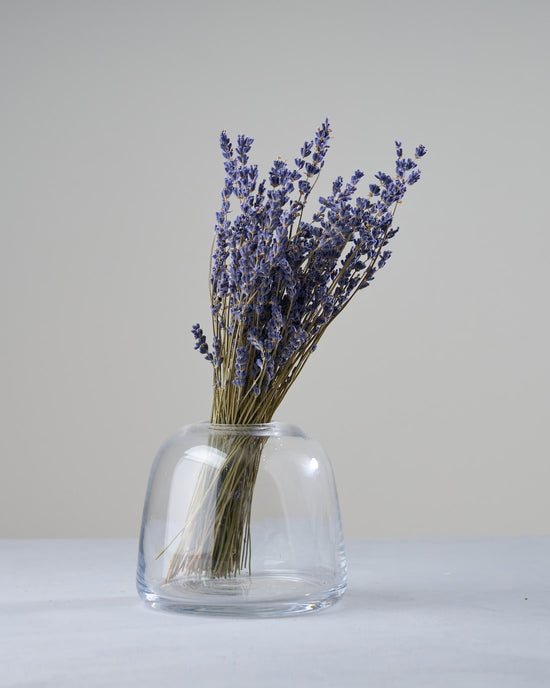 ［ドライフラワー］ラベンダー