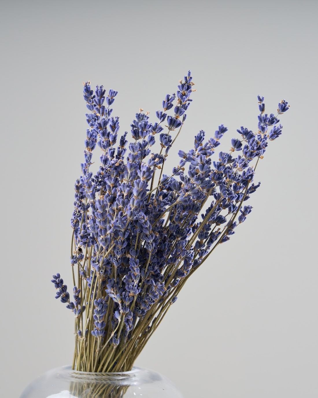 ［ドライフラワー］ラベンダー