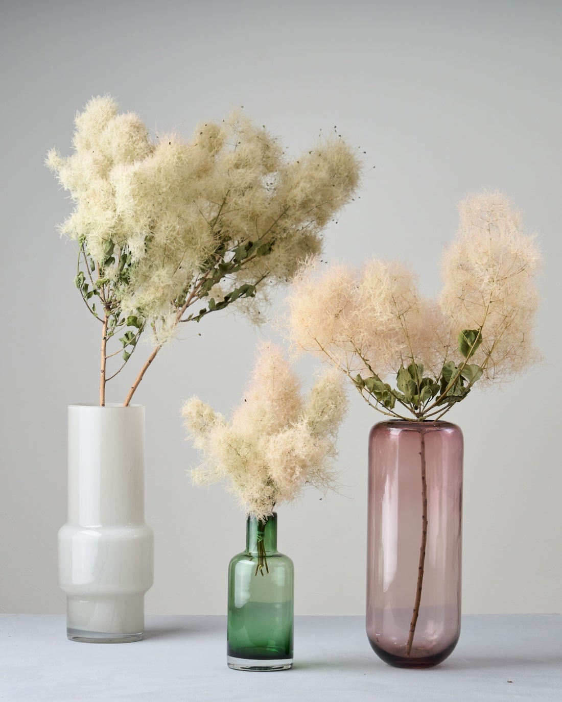 スモークツリー［ドライフラワー］※おひとり様２本まで