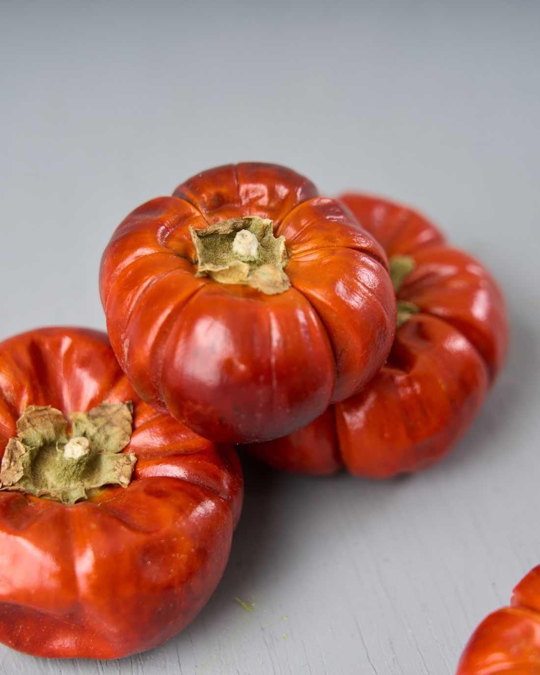 ドライフラワー］ミニカボチャ 商品ページ - 土と風の植物園