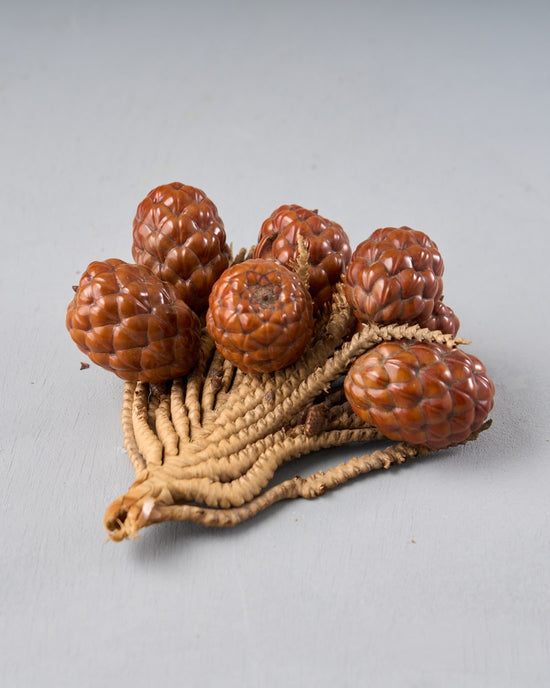 ［ドライフラワー］ラフィアヤシの実