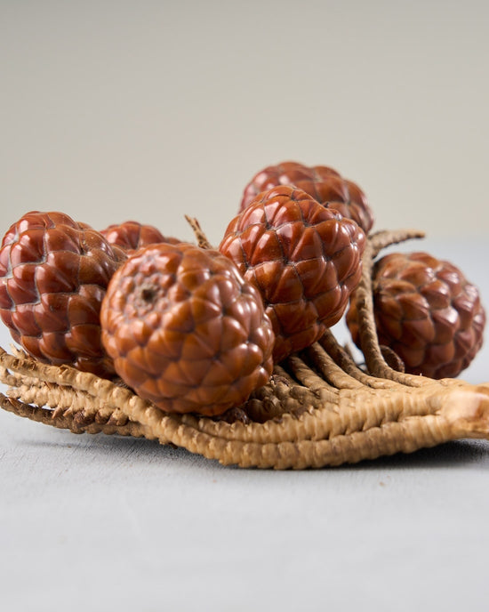 ［ドライフラワー］ラフィアヤシの実