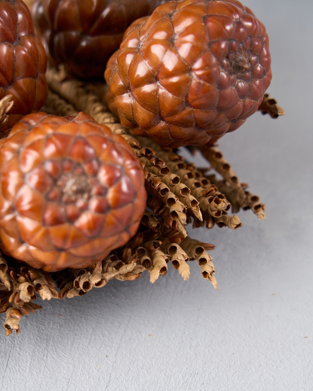 ［ドライフラワー］ラフィアヤシの実