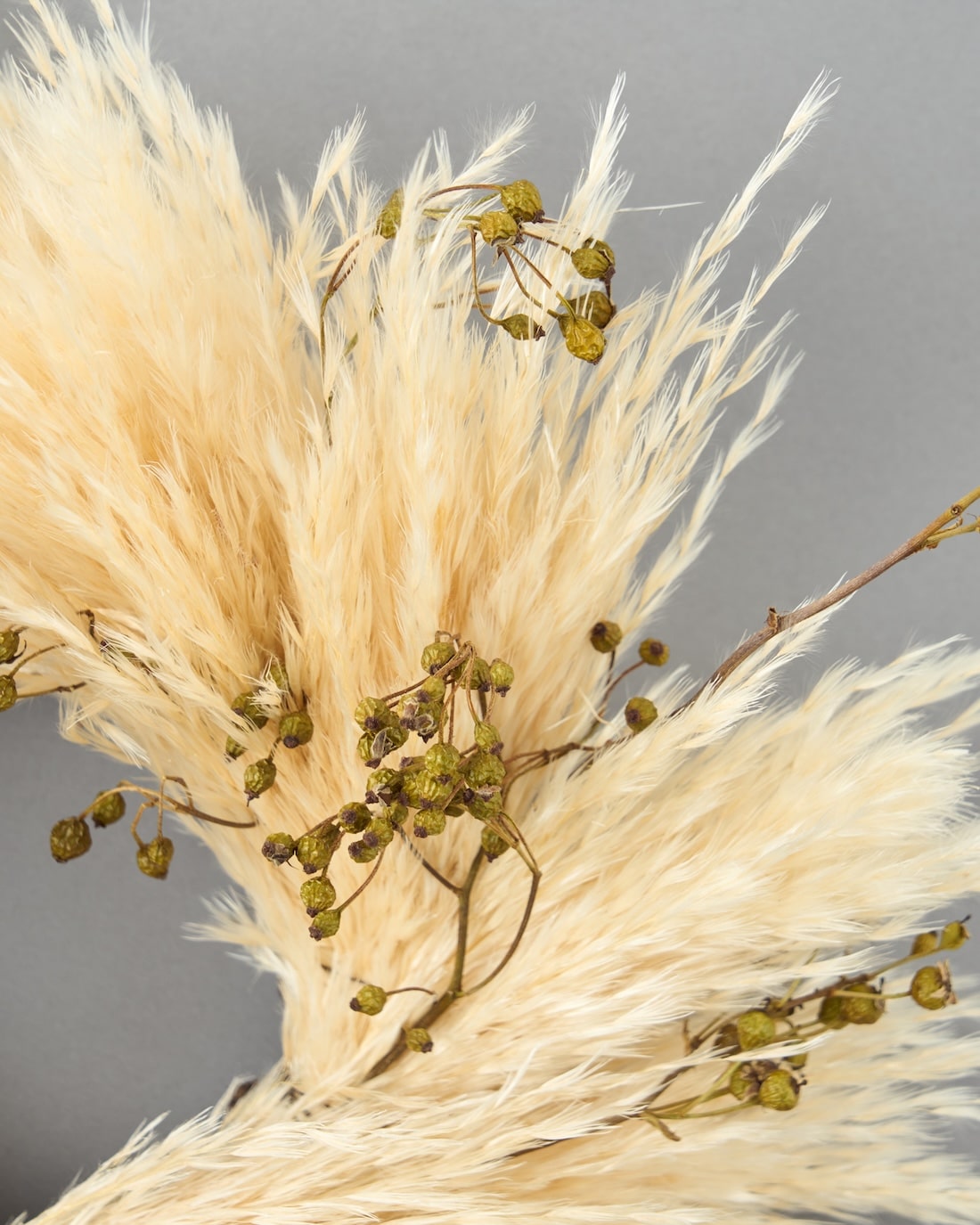 砂漠の星屑＞パンパスグラス・野ばらの実のリース 商品ページ - 土と風
