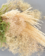 ＜スモーキーミストの彩り＞パンパスグラス・ヒカゲノカズラのスワッグ