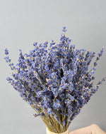 ＜夜の貴婦人＞ラベンダーのスタンドブーケ