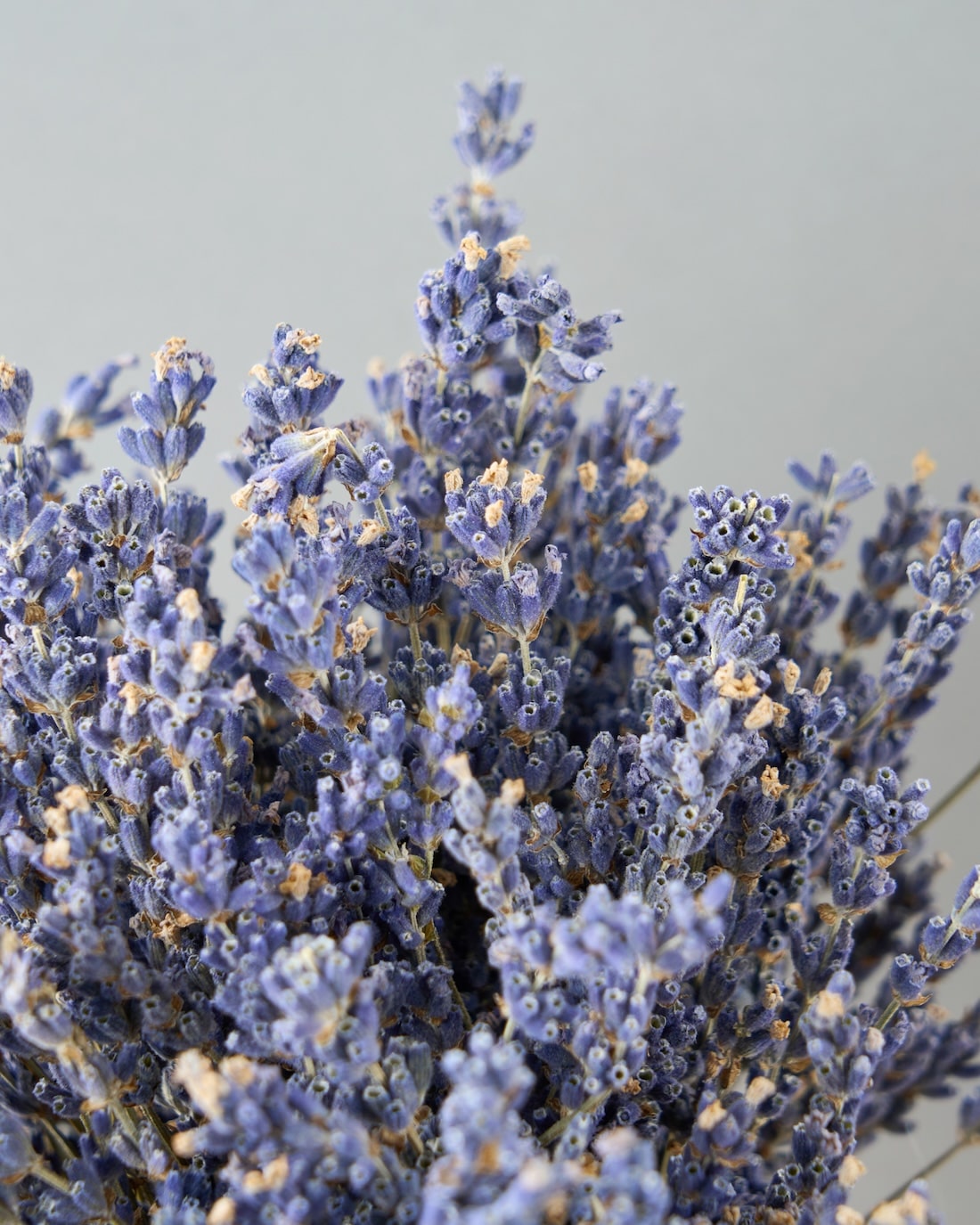 ＜夜の貴婦人＞ラベンダーのスタンドブーケ