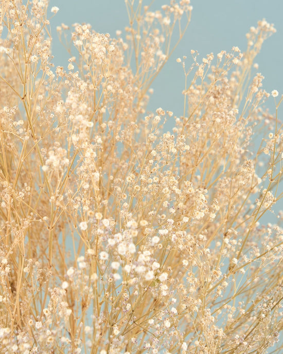 ＜Happy Ever After＞カスミソウのブーケ