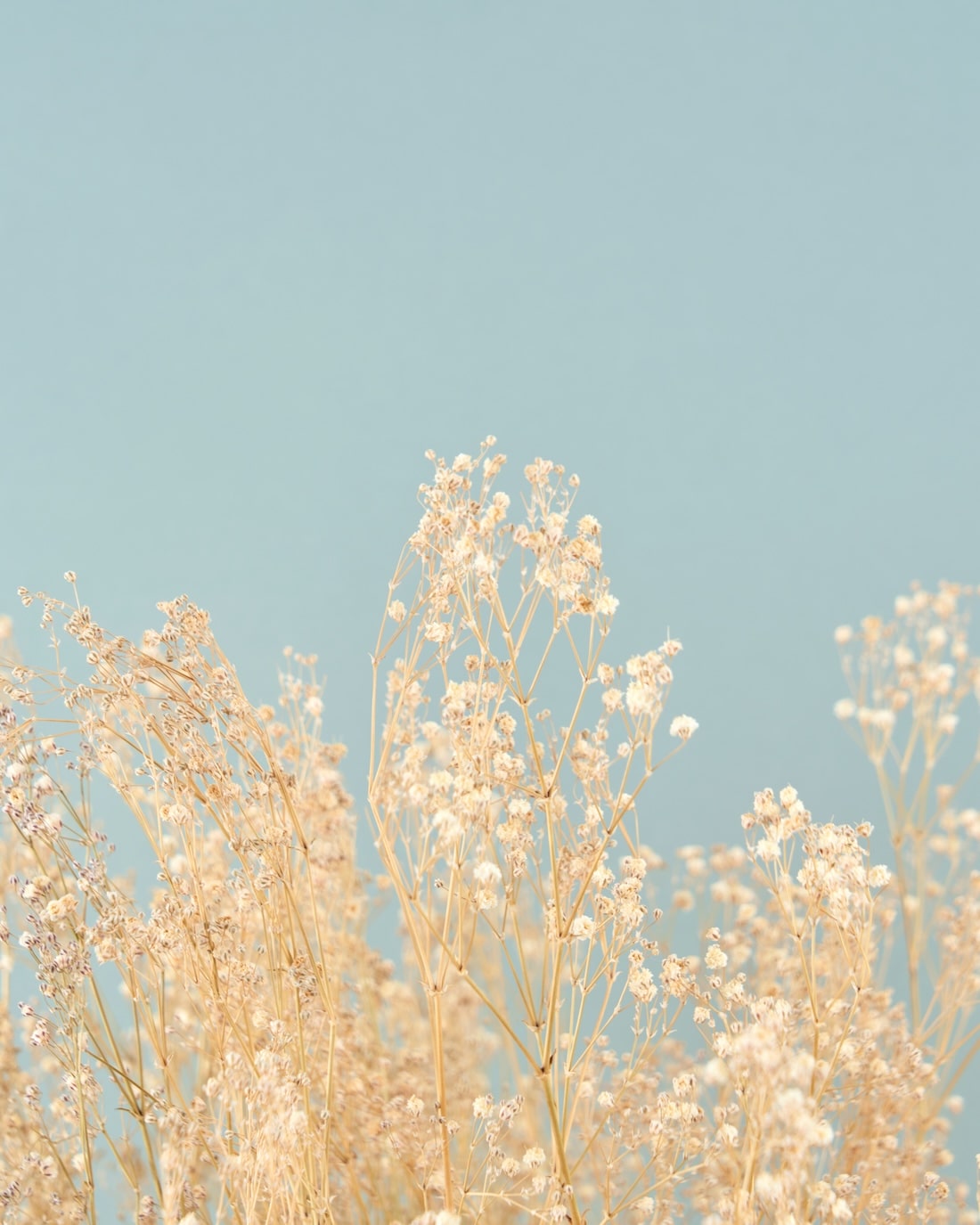 ＜Happy Ever After＞カスミソウのブーケ