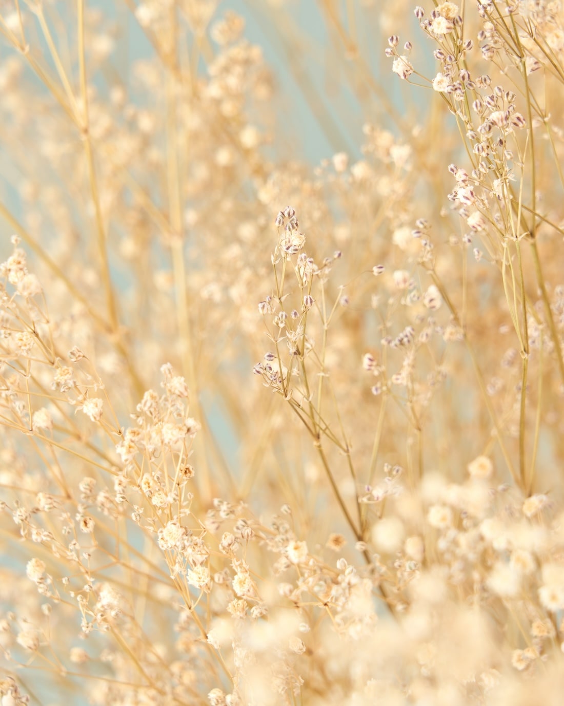 ＜Happy Ever After＞カスミソウのブーケ