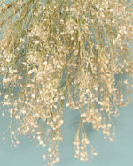 ＜baby's breath＞カスミソウのスワッグ