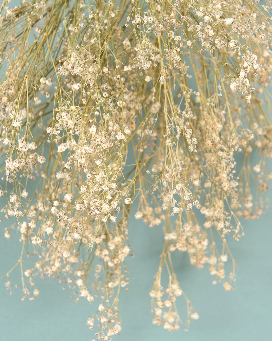 ＜baby's breath＞カスミソウのスワッグ