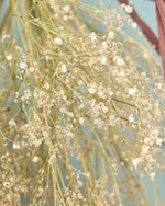 ＜baby's breath＞カスミソウのスワッグ