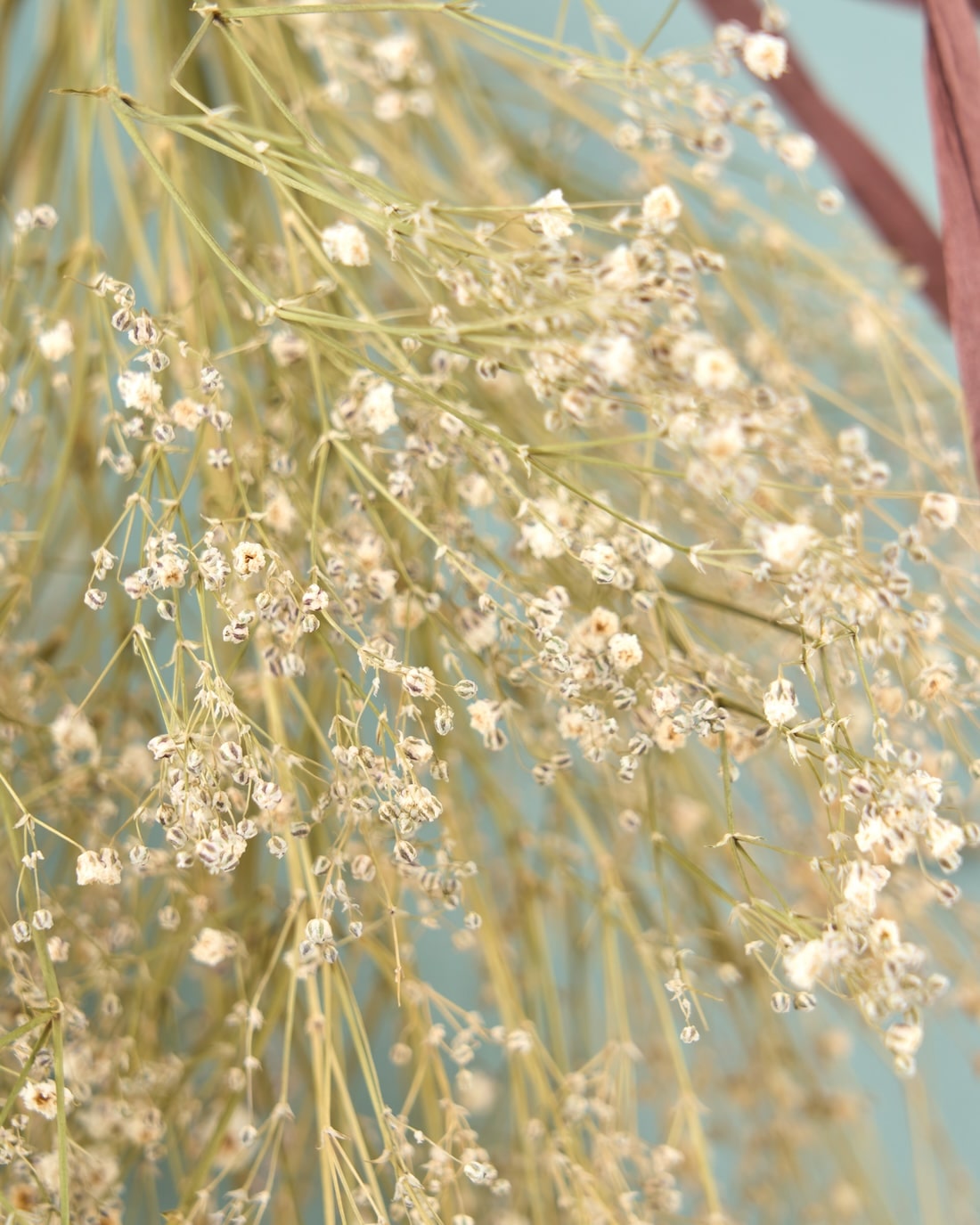 ＜baby's breath＞カスミソウのスワッグ