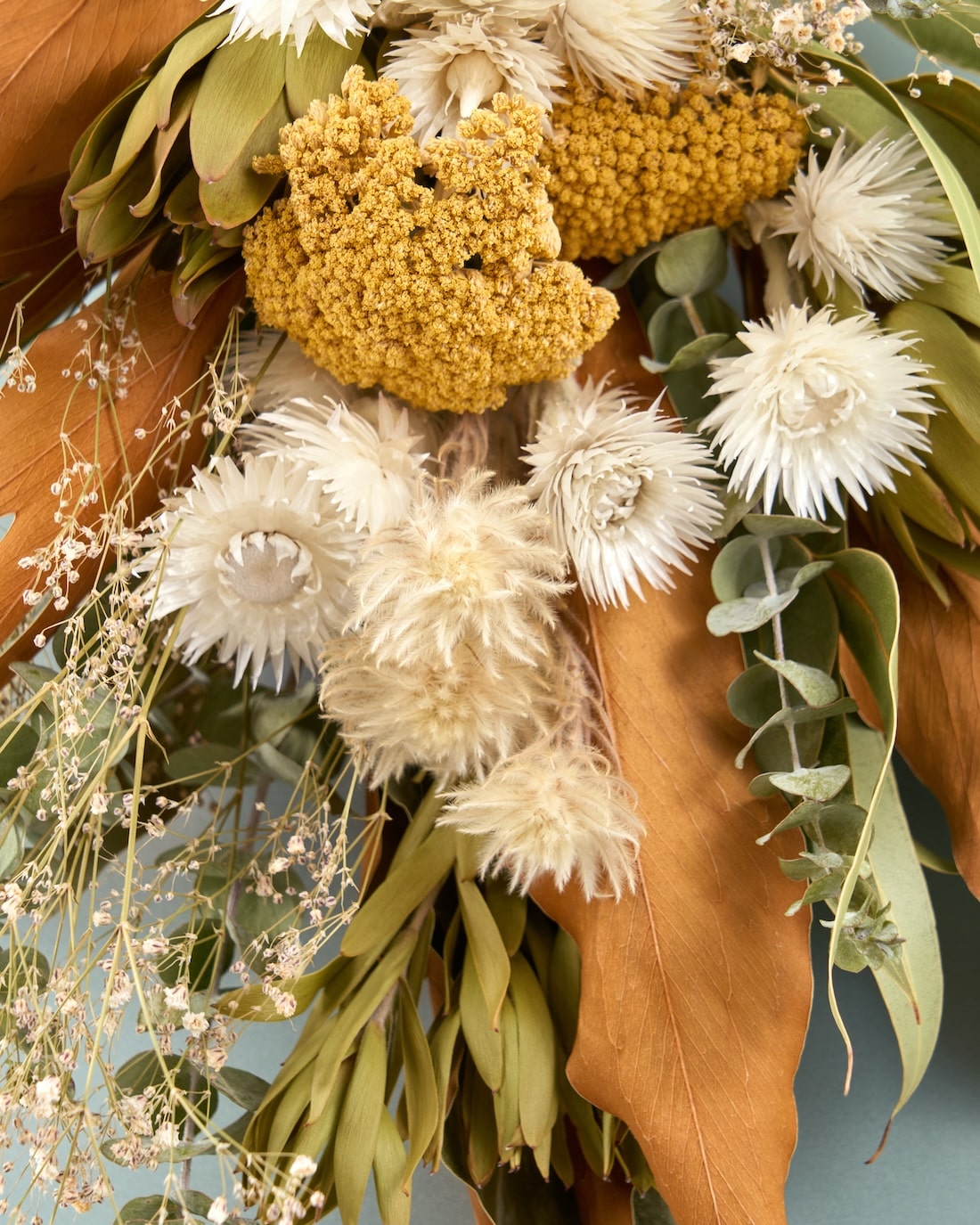 ＜幾久しく＞アキレアとフィリカのスワッグ