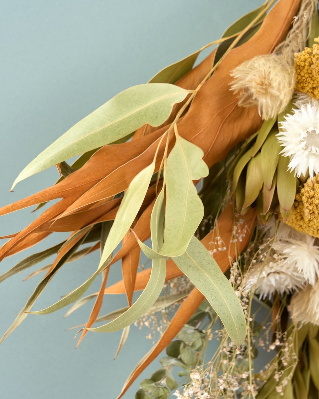 ＜幾久しく＞アキレアとフィリカのスワッグ