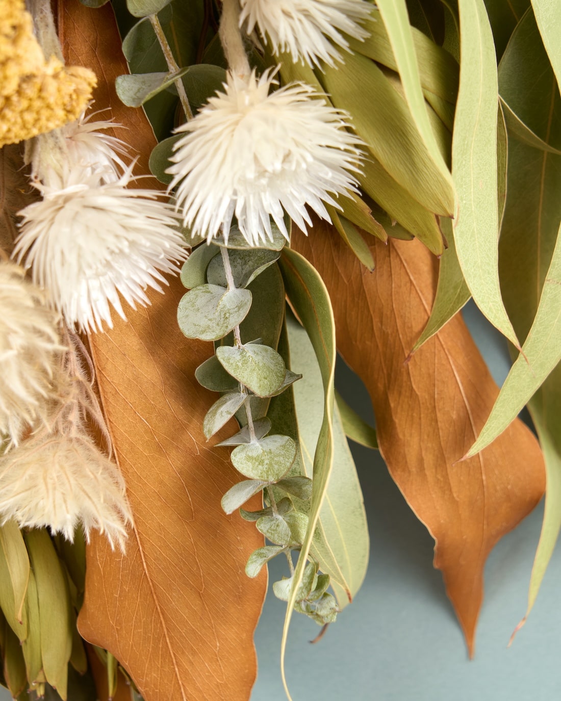 ＜幾久しく＞アキレアとフィリカのスワッグ