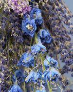 ラベンダーとデルフィニュームのスワッグ