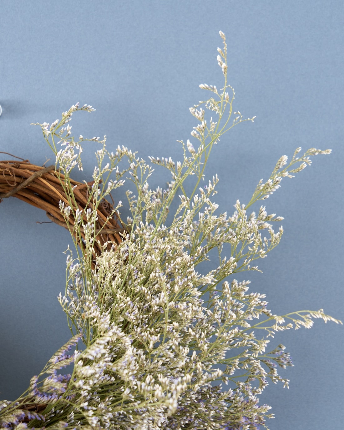 ＜Happy Birthday＞ブルーファンタジアとカリナディープブルーのリース